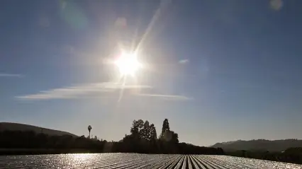 Pago de horas extras para trabajadores agrícolas