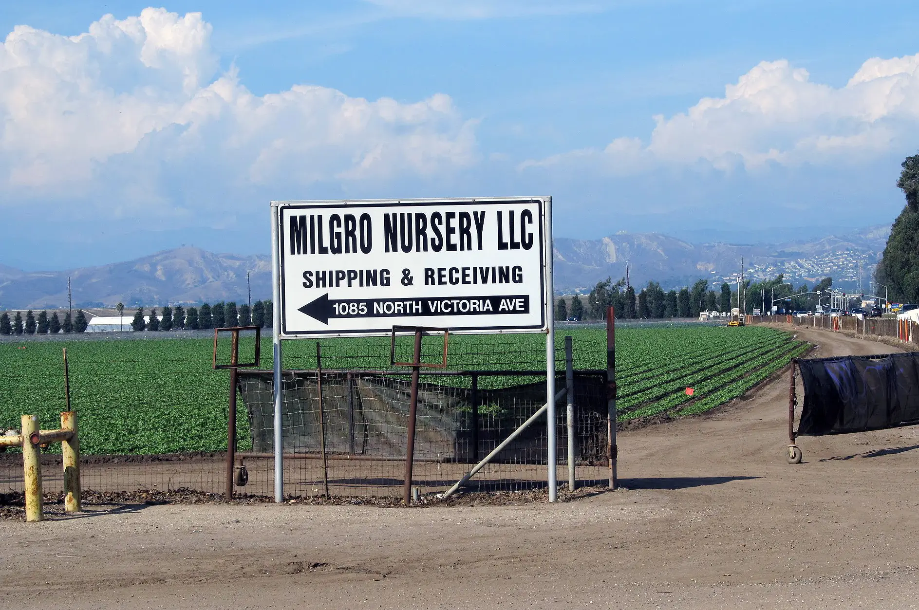 OxnardFarmland
